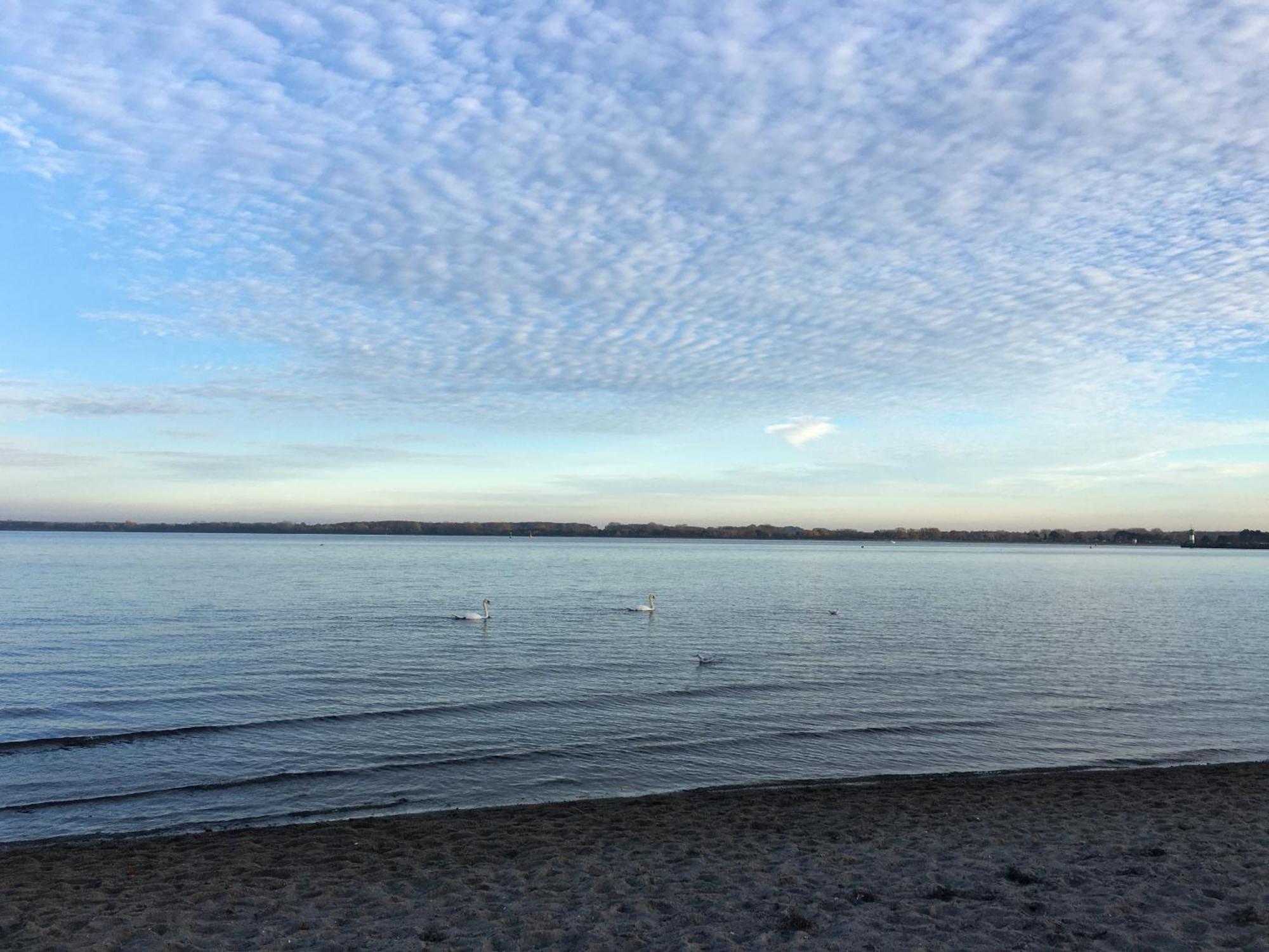 Strandappartment Meerkieker Lubeck Bagian luar foto